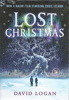 失落的圣诞节 Lost Christmas (2011) - 毒蛇电影