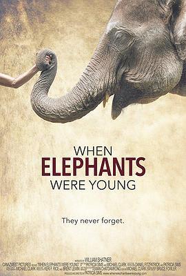 大象年幼时 When Elephants Were Young (2016) - 毒蛇电影