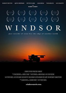 温莎之谜 Windsor (2015) - 毒蛇电影