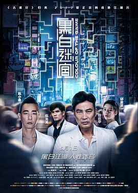 黑白迷宫  (2017) - 毒蛇电影