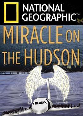 奇迹迫降哈德逊河 Miracle Landing on the Hudson (2014) - 毒蛇电影