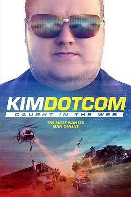 金宝：网络现形记 Kim Dotcom: Caught in the Web (2017) - 毒蛇电影