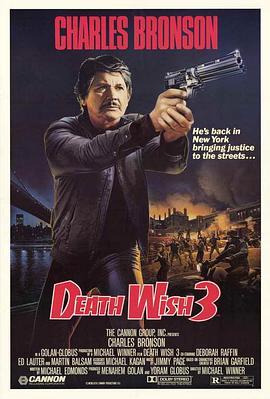 猛龙怪客3 Death Wish III (1985) - 毒蛇电影