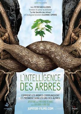 树的智慧 L'Intelligence des arbres (2017) - 毒蛇电影