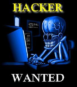 Hackers Wanted  (2008) - 毒蛇电影