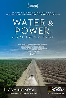 水与电：一次加州大劫案 Water & Power: A California Heist (2017) - 毒蛇电影