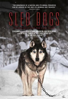 雪橇犬 Sled Dogs (2016) - 毒蛇电影