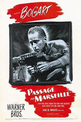 孤舟血战 Passage to Marseille (1944) - 毒蛇电影