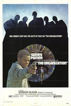 神探勇闯毒龙潭 The Organization (1971) - 毒蛇电影