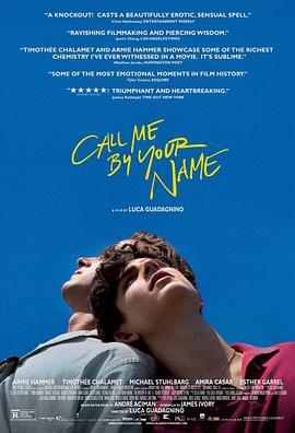 请以你的名字呼唤我 Call Me by Your Name (2017) - 毒蛇电影