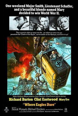 血染雪山堡 Where Eagles Dare (1968) - 毒蛇电影