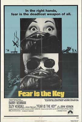 急先锋飞车闯七关 Fear Is the Key (1972) - 毒蛇电影