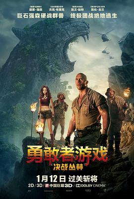 勇敢者游戏：决战丛林 Jumanji: Welcome to the Jungle (2017) - 毒蛇电影