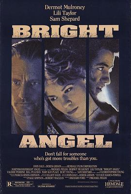 光明天使 Bright Angel (1990) - 毒蛇电影