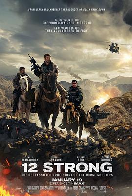 12勇士 12 Strong (2018) - 毒蛇电影