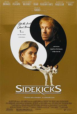 无敌战将 Sidekicks (1992) - 毒蛇电影