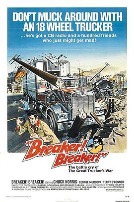 铁拳硬汉闯龙潭 Breaker! Breaker! (1977) - 毒蛇电影