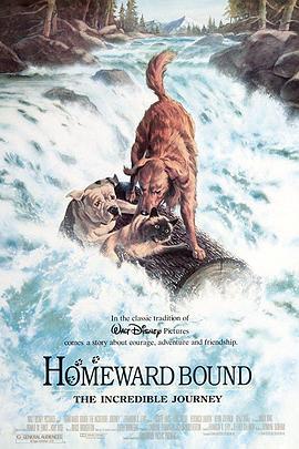 看狗在说话 Homeward Bound: The Incredible Journey (1993) - 毒蛇电影