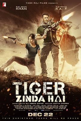 猛虎还活着 Tiger Zinda Hai (2017) - 毒蛇电影