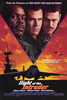 捍卫入侵者 Flight of the Intruder (1991) - 毒蛇电影