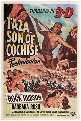 酋长之子塔赞 Taza, Son of Cochise (1954) - 毒蛇电影