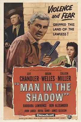 义警歼霸记 Man in the Shadow (1957) - 毒蛇电影