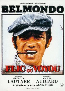 鬼马神探 Flic Ou Voyou (1979) - 毒蛇电影