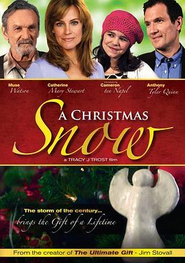 圣诞的雪 A Christmas Snow (2010) - 毒蛇电影