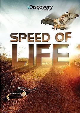 探索频道：生命的速度 Discovery Channel ：Speed of Life (2010) - 毒蛇电影