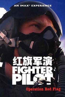 红旗军演 Fighter Pilot: Operation Red Flag (2004) - 毒蛇电影