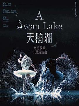 天鹅湖 A Swan Lake (2014) - 毒蛇电影