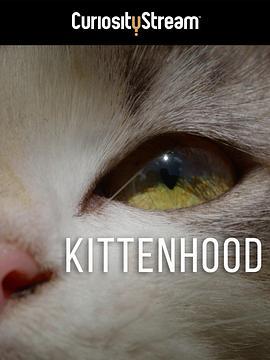 Kittenhood  (2015) - 毒蛇电影