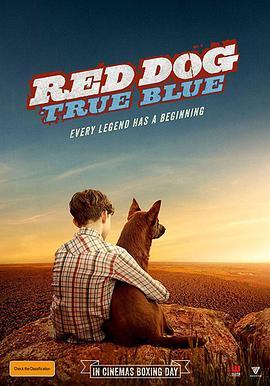 红犬历险记2：蓝犬 Red Dog: True Blue (2016) - 毒蛇电影