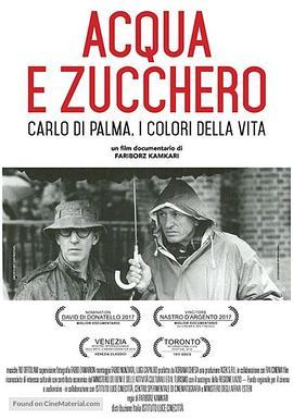 水与糖：摄影家卡洛·迪·帕尔马的生活与色彩 Acqua e zucchero: Carlo Di Palma, i colori della vita (2016) - 毒蛇电影