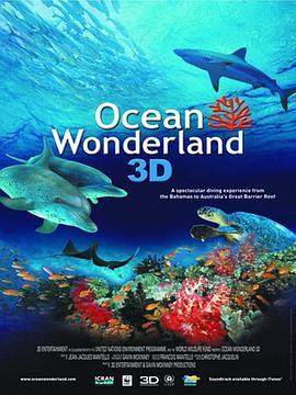 海洋仙境 Ocean Wonderland (2003) - 毒蛇电影