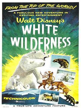 白色的荒地 White Wilderness (1958) - 毒蛇电影