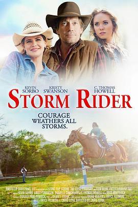 风雨骑手 Storm Rider (2013) - 毒蛇电影