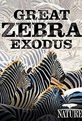 Great Zebra Exodus  (2013) - 毒蛇电影