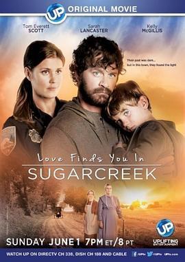 甜蜜湾之恋 Love Finds You in Sugarcreek (2014) - 毒蛇电影