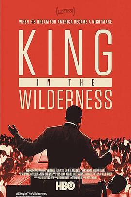 在野之金 King in the Wilderness (2018) - 毒蛇电影