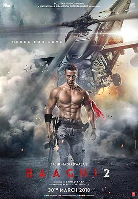 为爱叛逆2之逆战到底 Baaghi 2: A Rebel For Love (2018) - 毒蛇电影