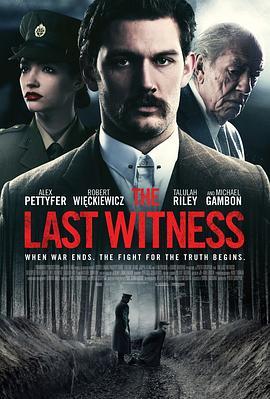 最后证人 The Last Witness (2018) - 毒蛇电影