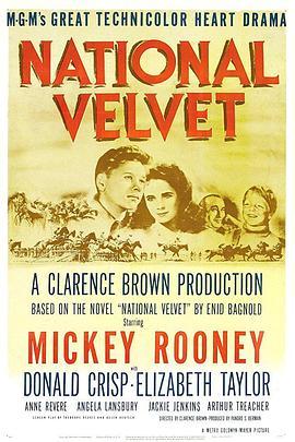 玉女神驹 National Velvet (1944) - 毒蛇电影