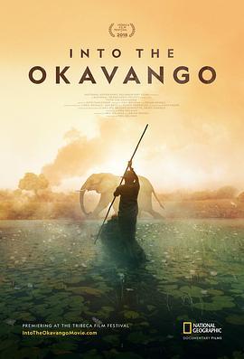 深入奥卡万戈 Into The Okavango (2018) - 毒蛇电影