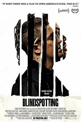 盲点 Blindspotting (2018) - 毒蛇电影