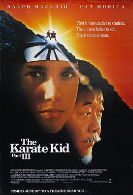 龙威小子3 The Karate Kid Part III (1989) - 毒蛇电影