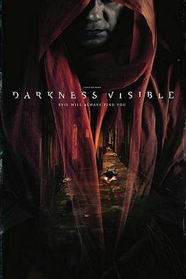 可见黑暗 Darkness Visible (2017) - 毒蛇电影