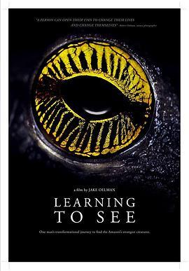 Learning to See: The World of Insects  (2016) - 毒蛇电影