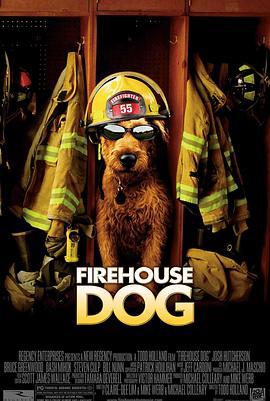 消防犬 Firehouse Dog (2007) - 毒蛇电影