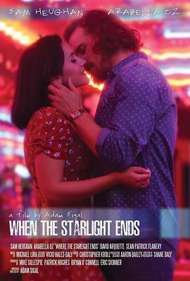 当星光结束 When the Starlight Ends (2015) - 毒蛇电影